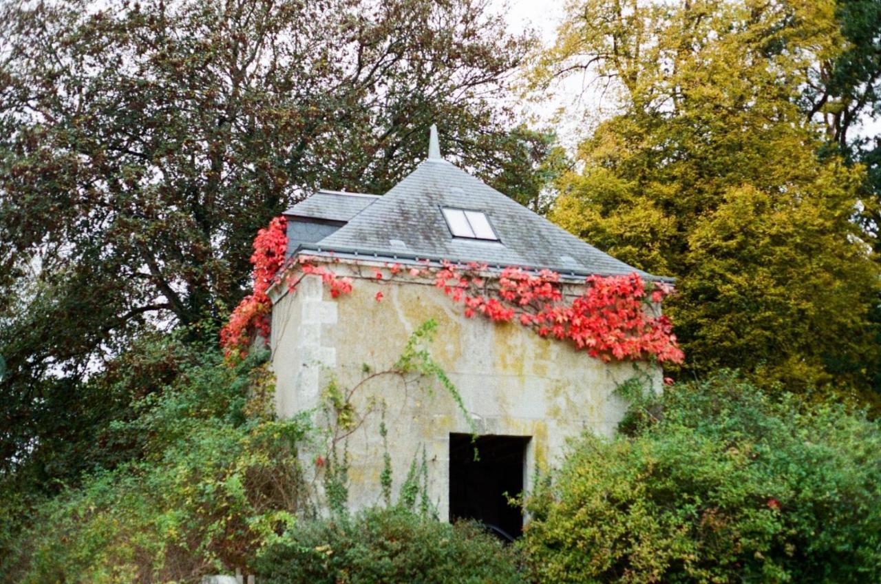 Nazelles-Negron Chateau De La Huberdiere المظهر الخارجي الصورة